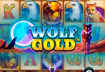 Витрина: Fat Rabbit